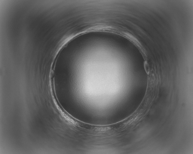 X0000052551055200507081604