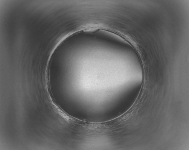 X0000052551056200507081604