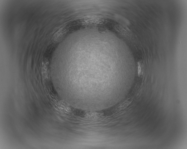 X0000052551059200507081603