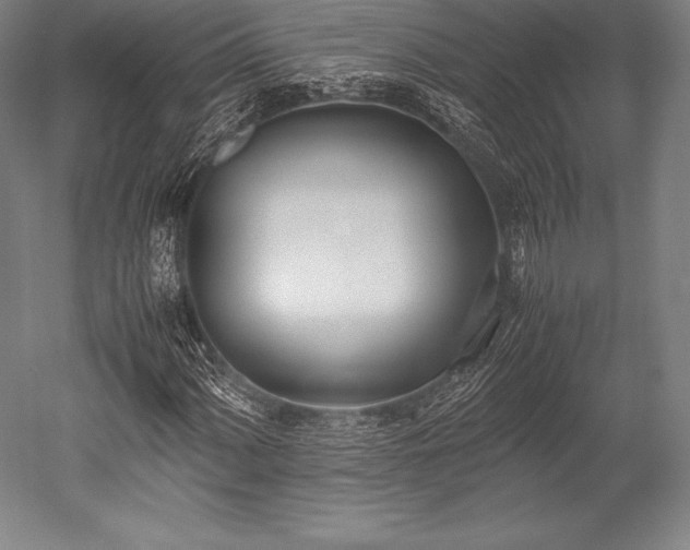 X0000052551060200507081603