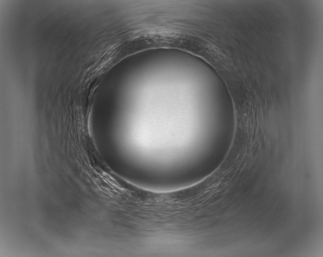 X0000052551061200507081603