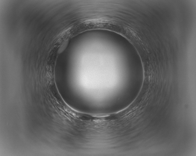 X0000052551062200507081603