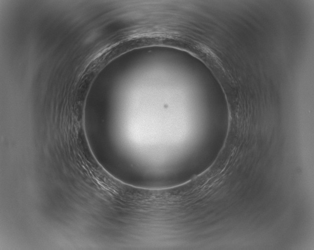 X0000052551064200507081603