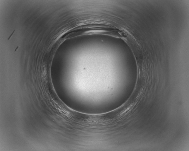 X0000052551065200507081603