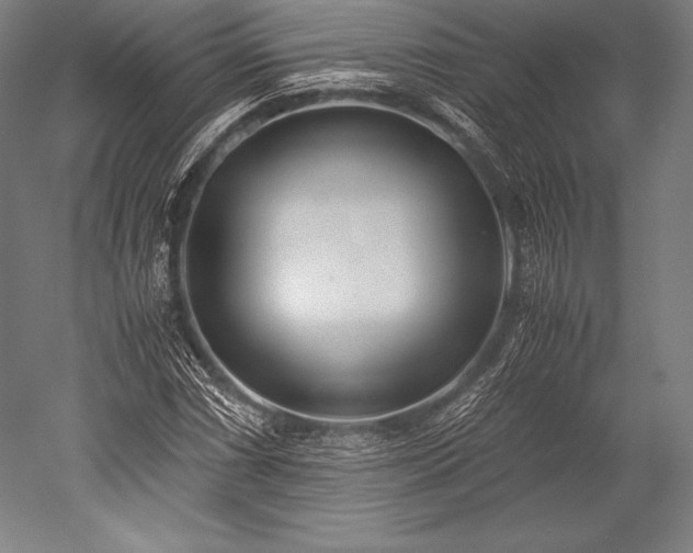 X0000052551066200507081603