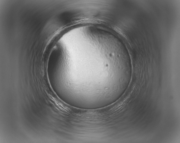 X0000052551067200507081603