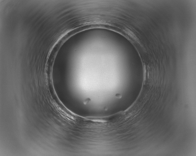 X0000052551068200507081603