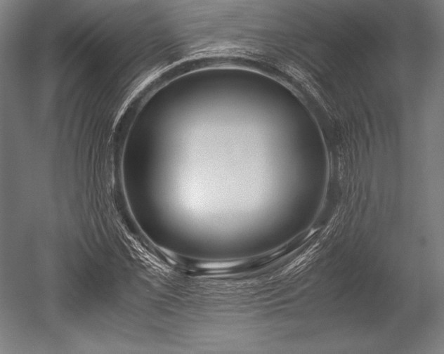 X0000052551069200507081603