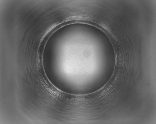 X0000052551070200507081603