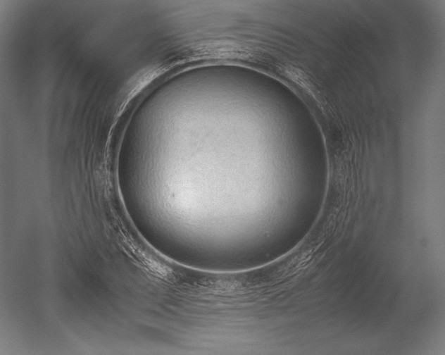 X0000052551071200507081603