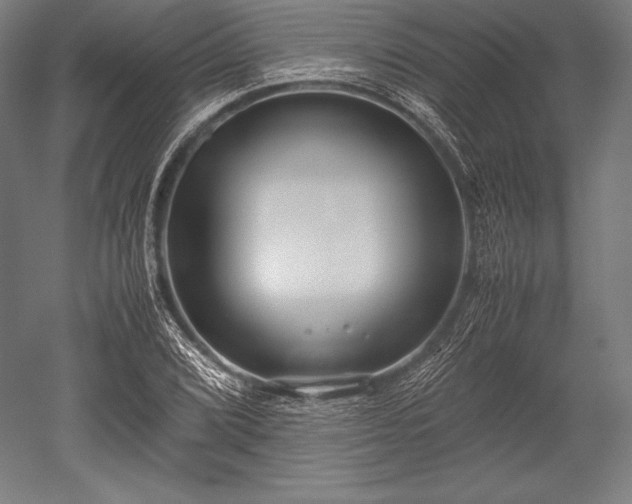 X0000052551072200507081603