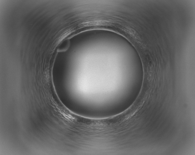 X0000052551073200507081603