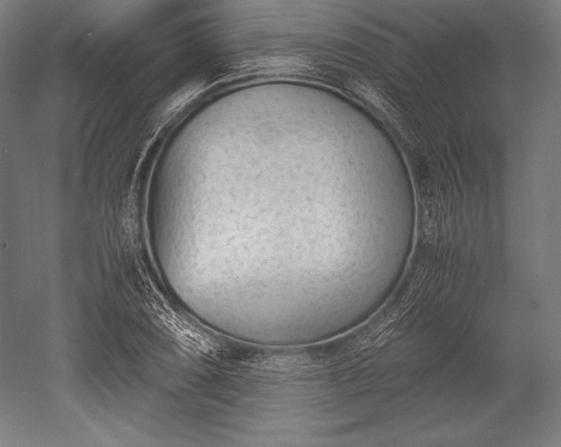 X0000052551074200507081603