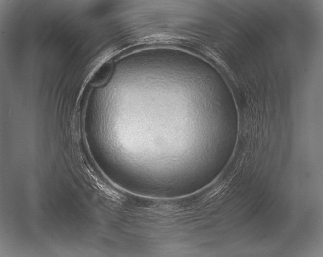 X0000052551075200507081603