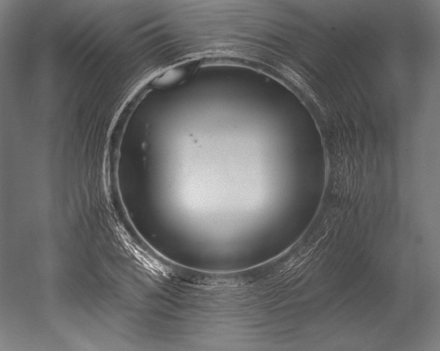 X0000052551076200507081603