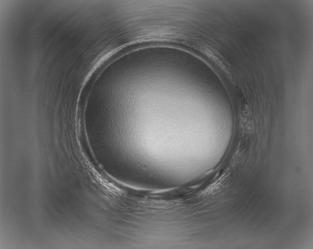 X0000052551077200507081603