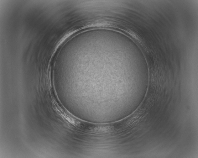 X0000052551078200507081603