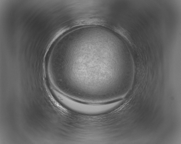 X0000052551079200507081603