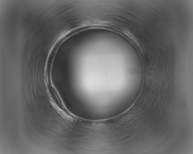 X0000052551080200507081603