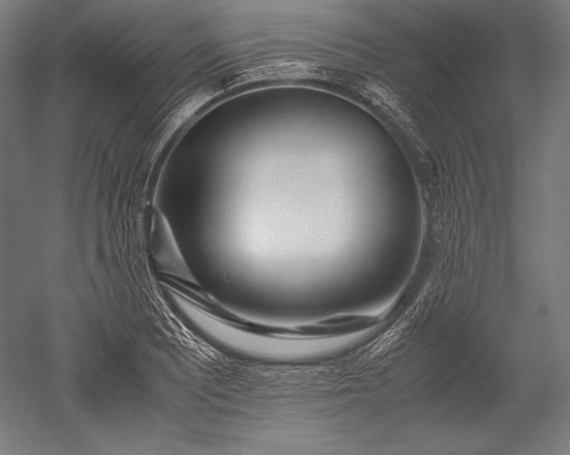 X0000052551081200507081603