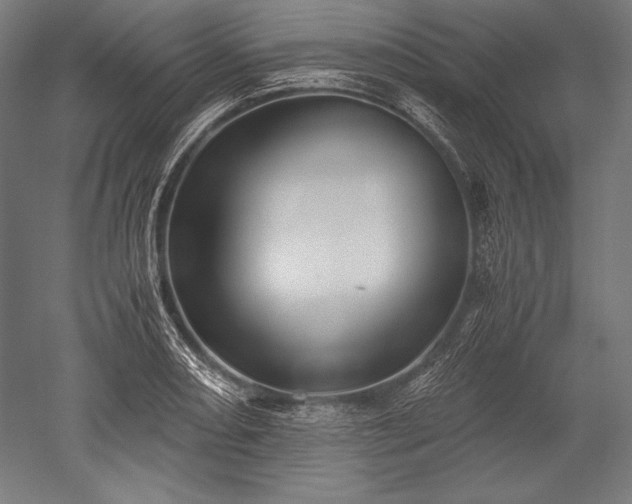 X0000052551082200507081603