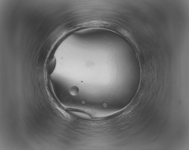 X0000052551083200507081603