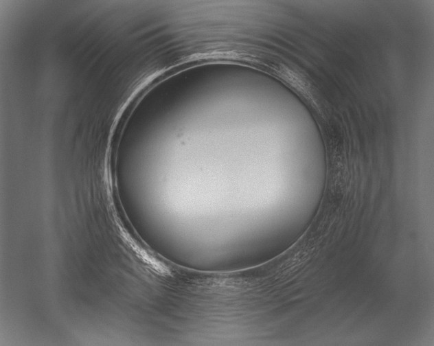 X0000052551084200507081603