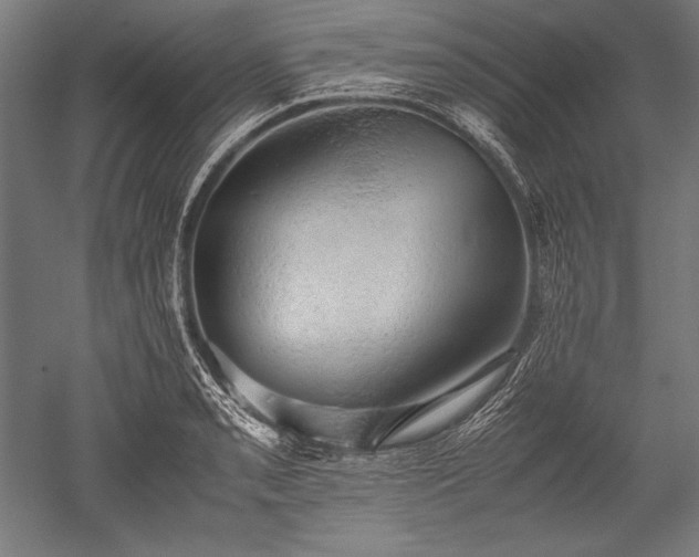 X0000052551085200507081603