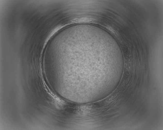 X0000052551086200507081603