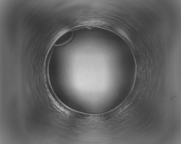 X0000052551087200507081603