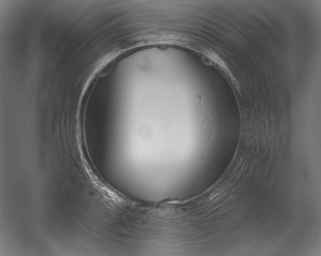 X0000052551088200507081603