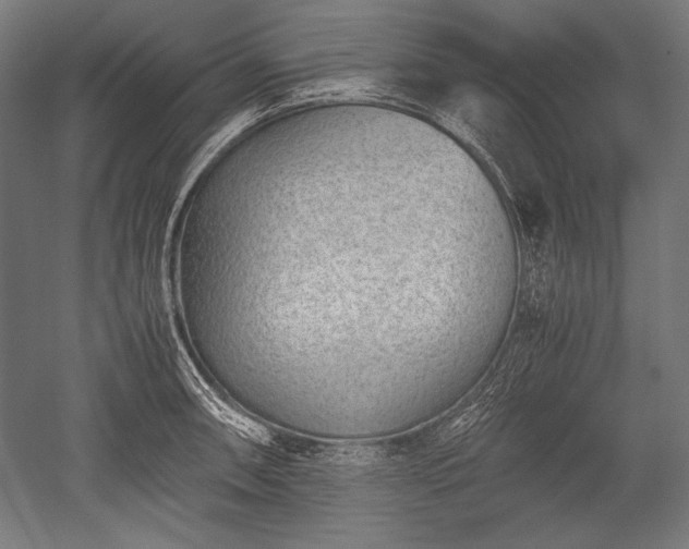 X0000052551090200507081603