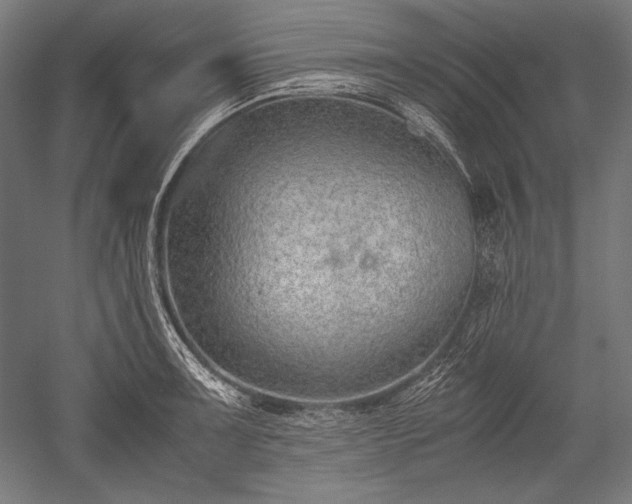 X0000052551091200507081603