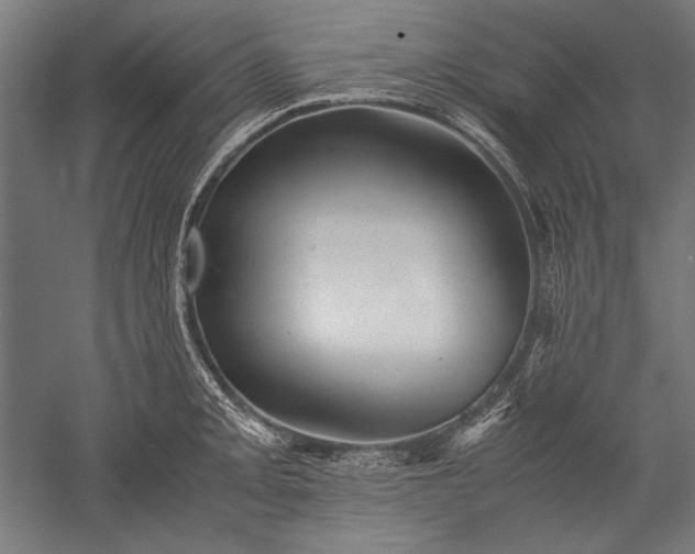 X0000052551093200507081603