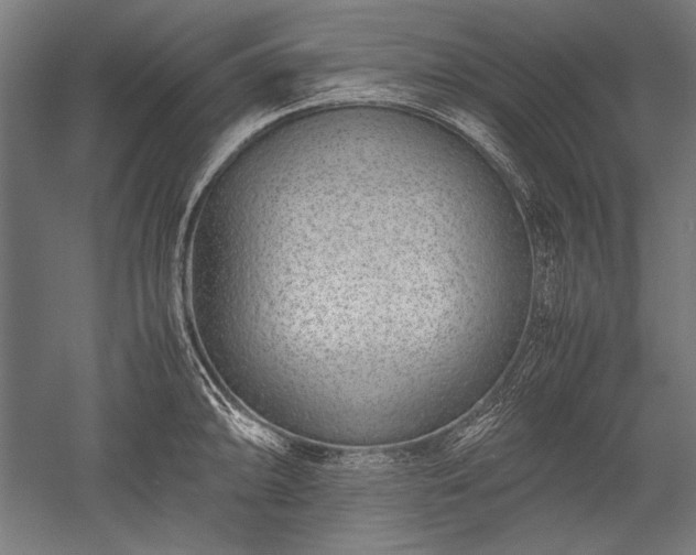 X0000052551094200507081603