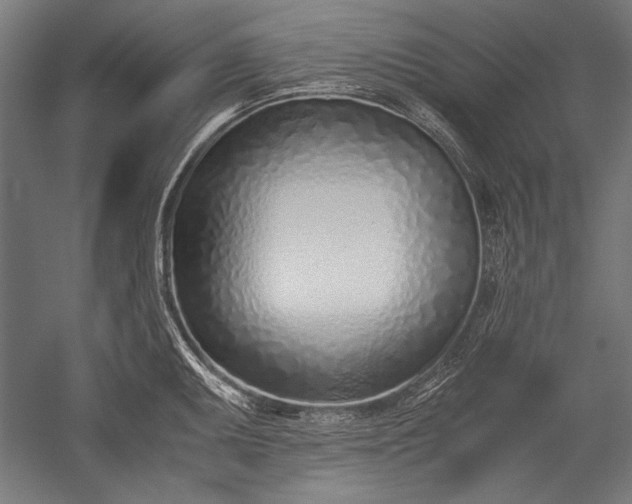 X0000052551095200507081603