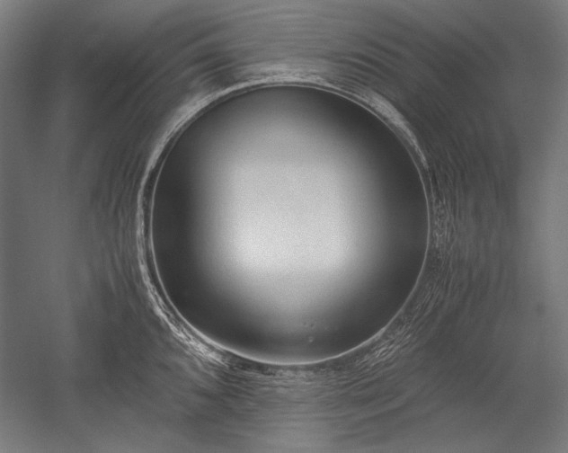 X0000052551096200507081603