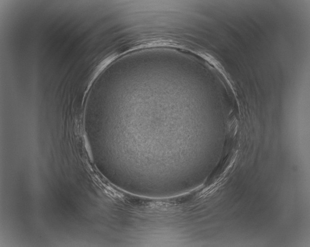 X0000052551097200507081603