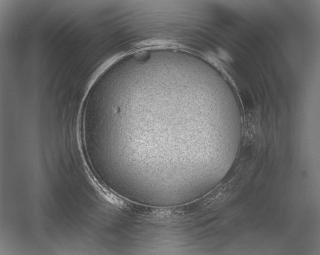 X0000052551098200507081603