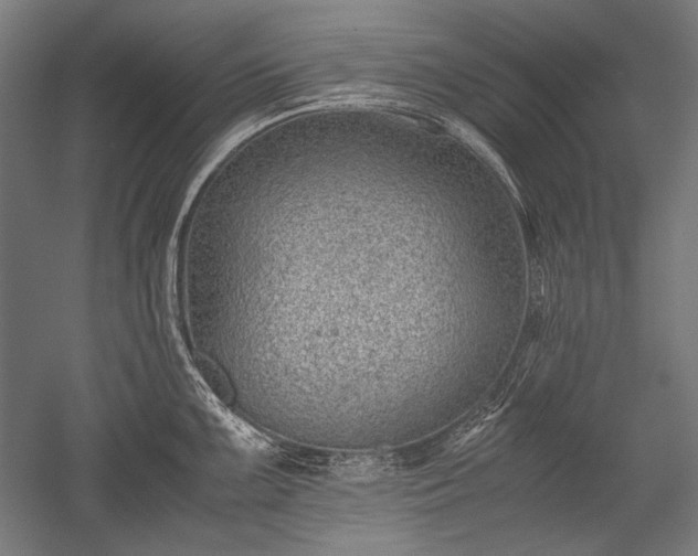 X0000052551099200507081603