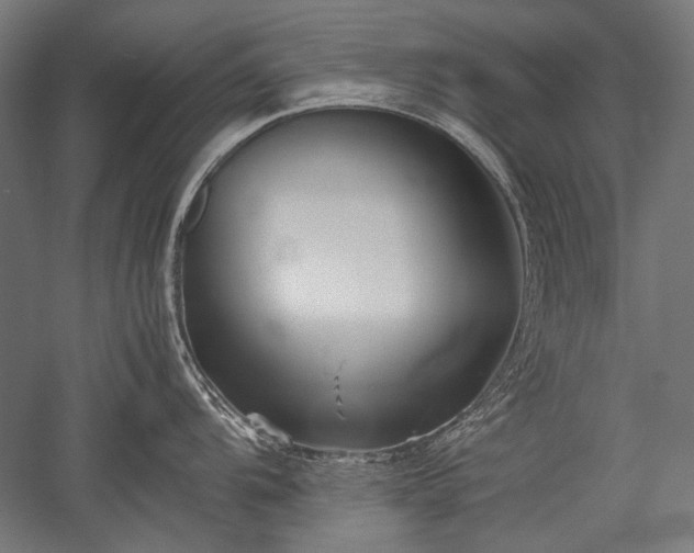 X0000052551104200507081603