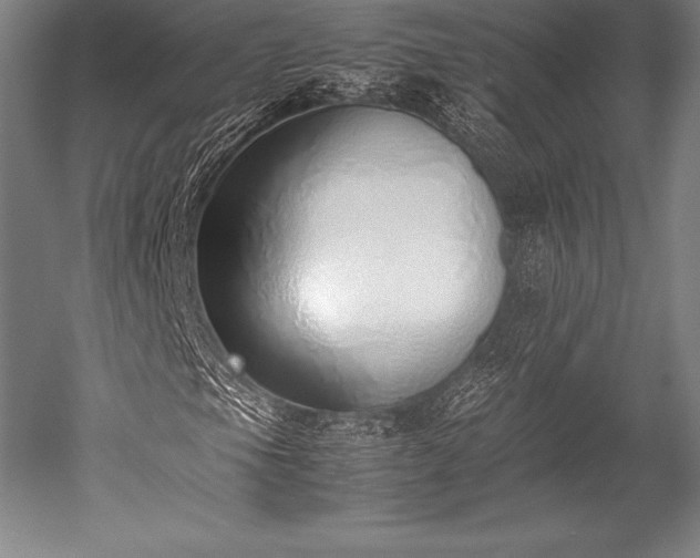 X0000052551105200507081602