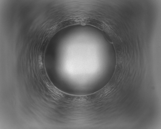 X0000052551106200507081602