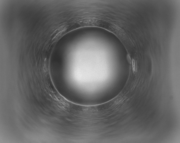 X0000052551107200507081602