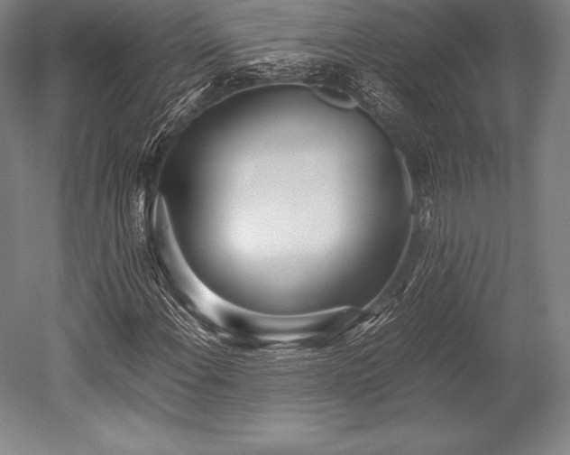 X0000052551108200507081602