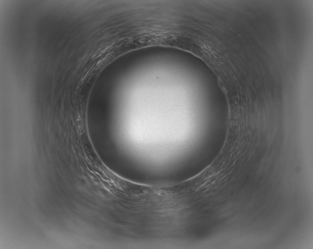 X0000052551109200507081602