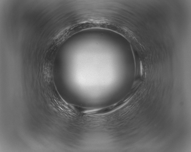 X0000052551110200507081602