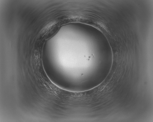 X0000052551111200507081602