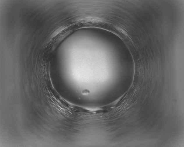 X0000052551112200507081602