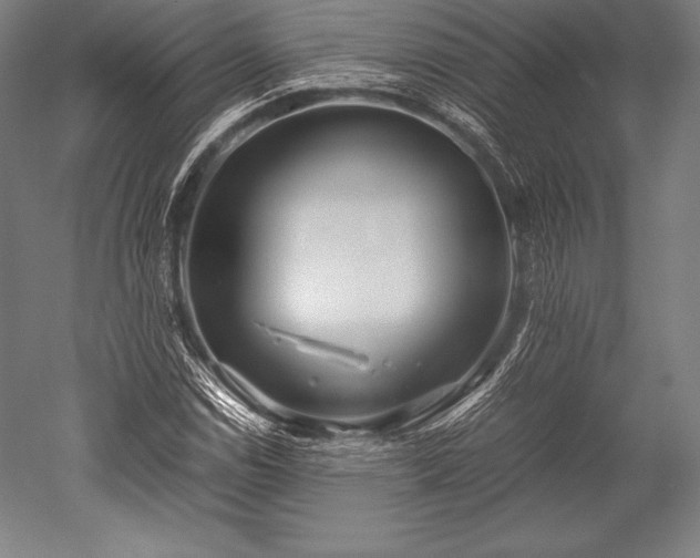 X0000052551114200507081602